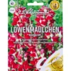 Saatgut Löwenmäulchen Night & Day