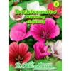 Saatgut Malope Mix ca. 150 Pflanzen