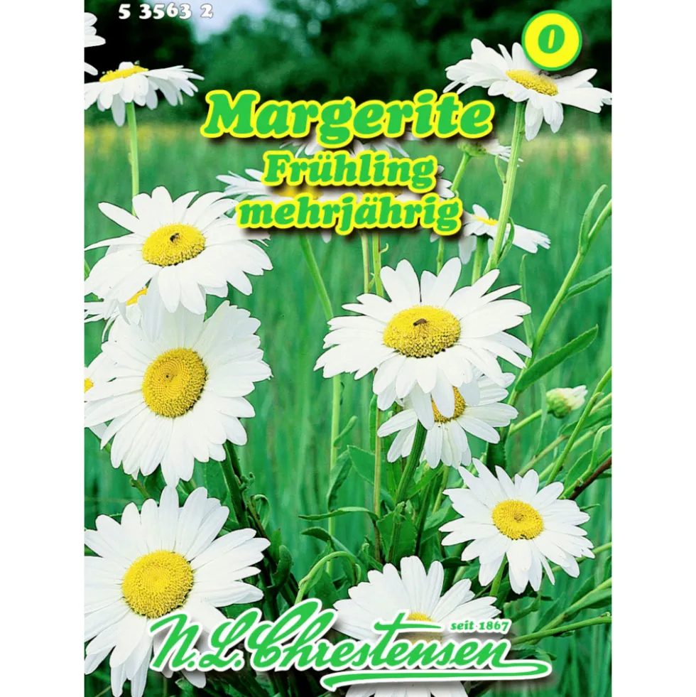 Saatgut Margerite ca. 80 Pflanzen