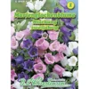 Saatgut Marienglockenblumen Mix ca. 200 Pflanzen