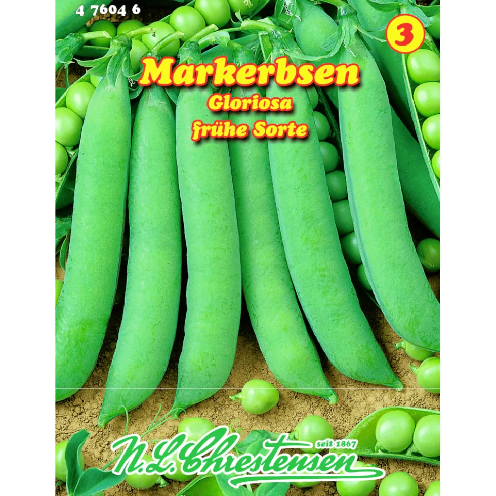Saatgut Markerbsen Gloriosa ca. 8 laufende Meter