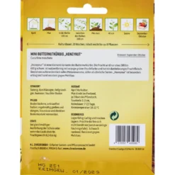 Saatgut Mini Butternutkürbis Honeynut