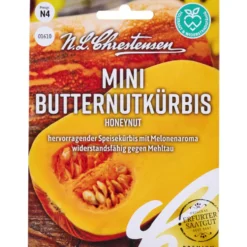 Saatgut Mini Butternutkürbis Honeynut