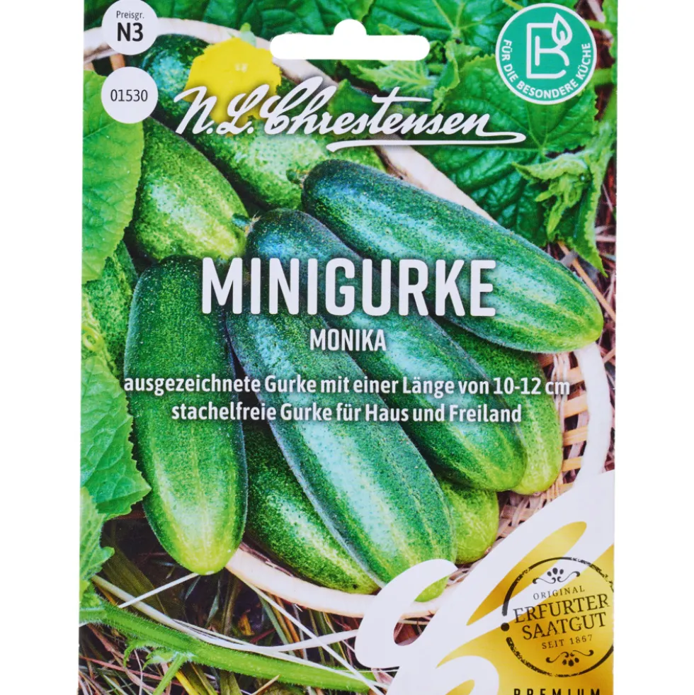 Saatgut Minigurke Monika