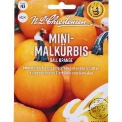 Saatgut Mini Malkürbis Ball Orange