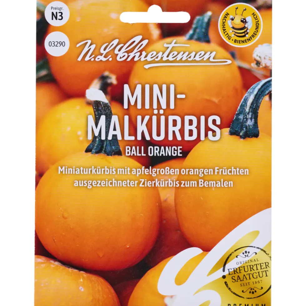 Saatgut Mini Malkürbis Ball Orange