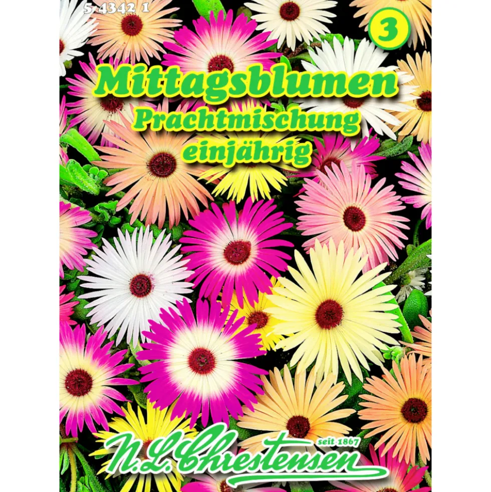 Saatgut Mittagsblume Prachtmix ca. 100 Pflanzen
