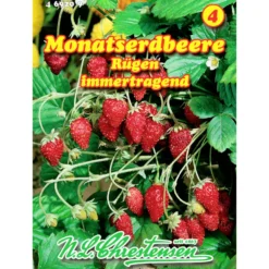 Saatgut Monatserdbeere Rügen ca. 150 Pflanzen