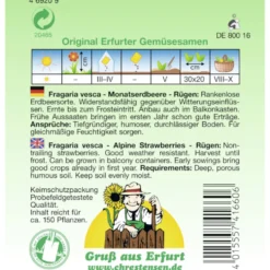 Saatgut Monatserdbeere Rügen ca. 150 Pflanzen