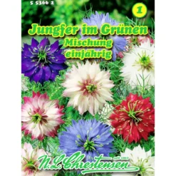 Saatgut Nigella Jungfer im Grünen ca. 120 Pflanzen
