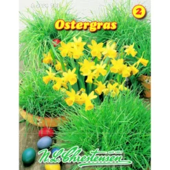 Saatgut Ostergras ca. 1 m²