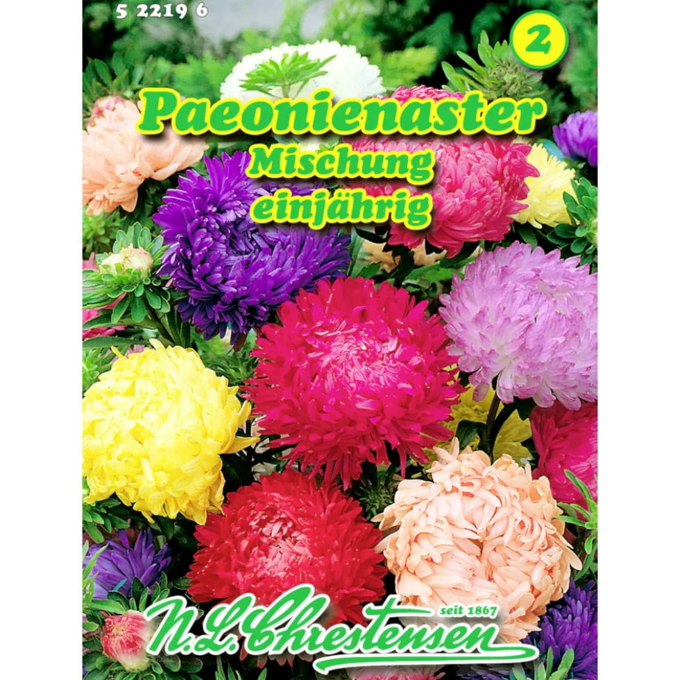 Saatgut Paeonienaster Mix ca. 80 Pflanzen bunt