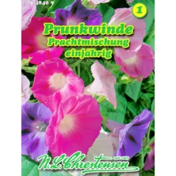 Saatgut Pharbitis Purpuea Prachtmix ca. 20 Pflanzen