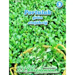 Saatgut Portulak ca. 2–3 m²