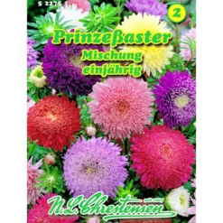 Saatgut Prinzeßaster Mix ca. 80 Pflanzen bunt
