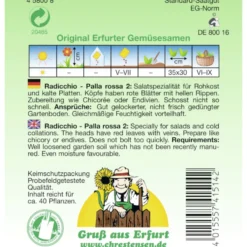 Saatgut Radicchio Palla rossa 2 ca. 40 Pflanzen