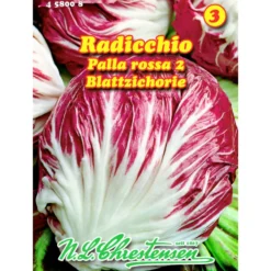 Saatgut Radicchio Palla rossa 2 ca. 40 Pflanzen