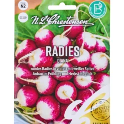 Saatgut Radies Diana