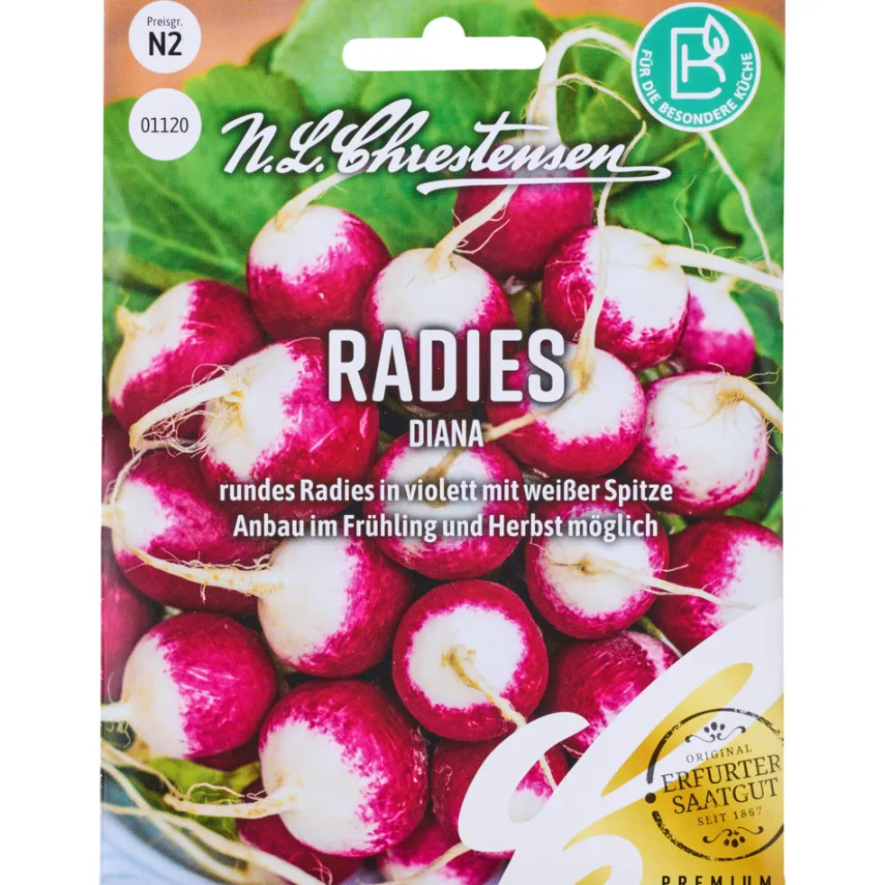 Saatgut Radies Diana