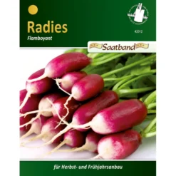 Saatgut Radies Flamboyant ca. 2 Meter Saatband