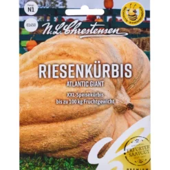 Saatgut Riesenkürbis Atlantic Giant