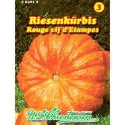 Saatgut Riesenkürbis ca. 3–5 Pflanzen