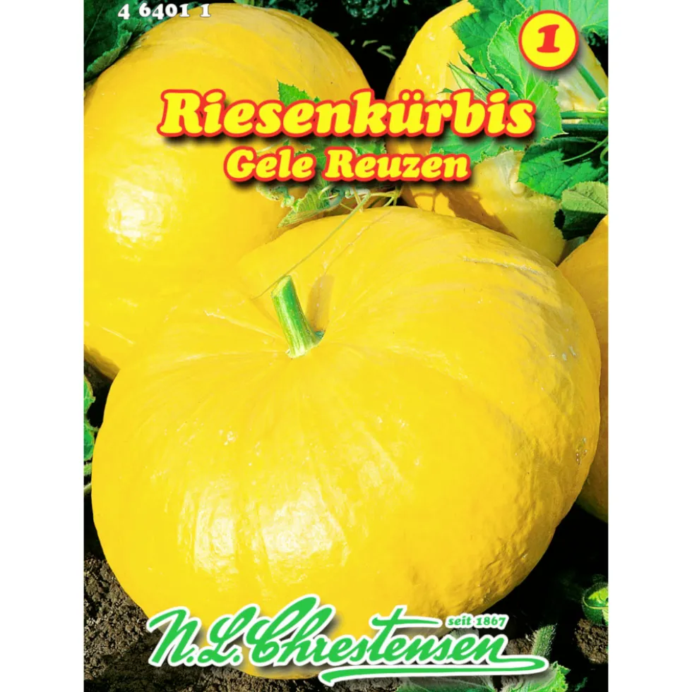 Saatgut Riesenkürbis gelb ca. 3 – 5 Pflanzen