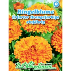 Saatgut Ringelblume Erfurter ca. 80 Pflanzen orange