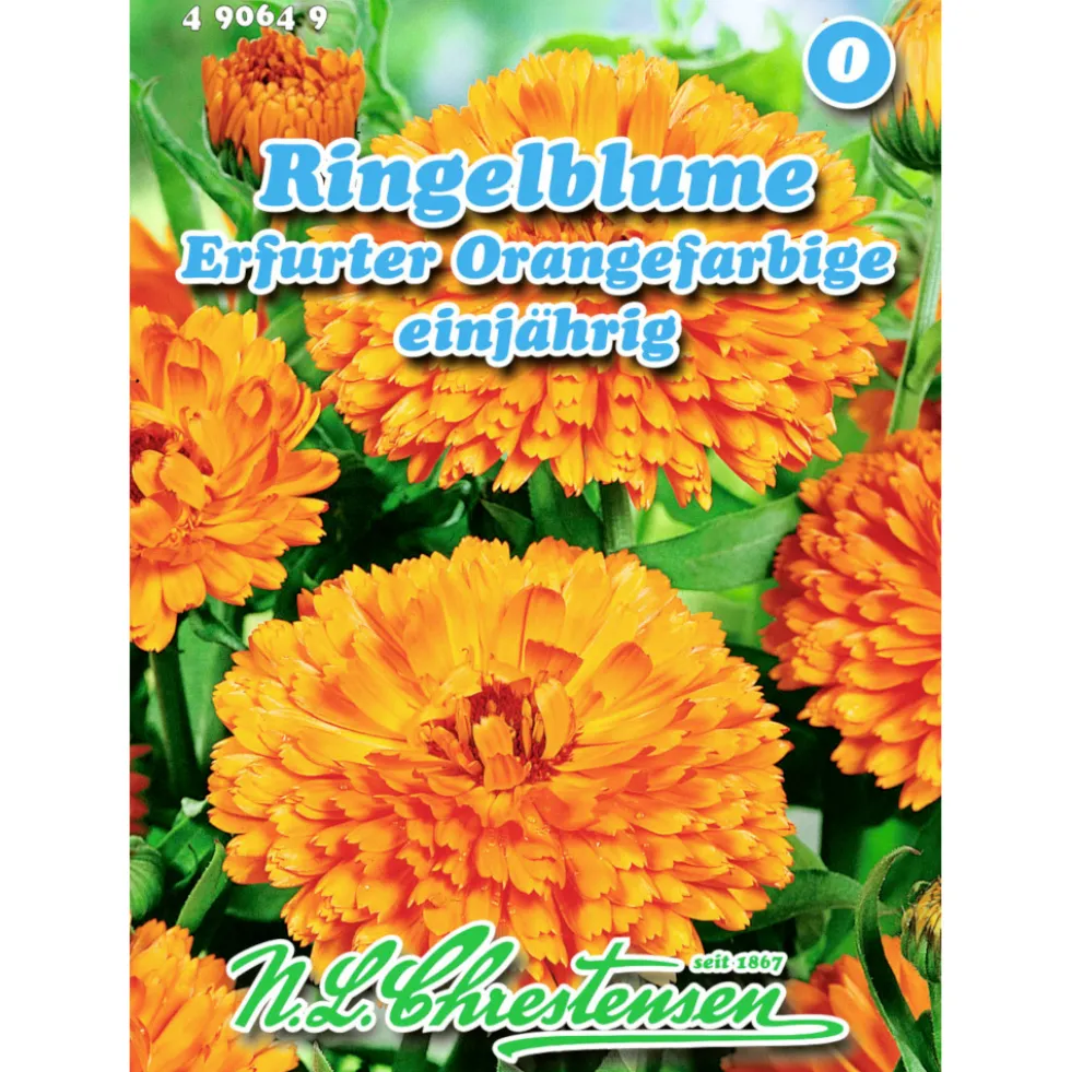 Saatgut Ringelblume Erfurter ca. 80 Pflanzen orange