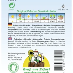 Saatgut Ringelblume Erfurter ca. 80 Pflanzen orange