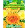 Saatgut Ringelblumen-Mix Pacific ca. 80 Pflanzen