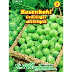 Saatgut Rosenkohl Groninger ca. 120 Pflanzen