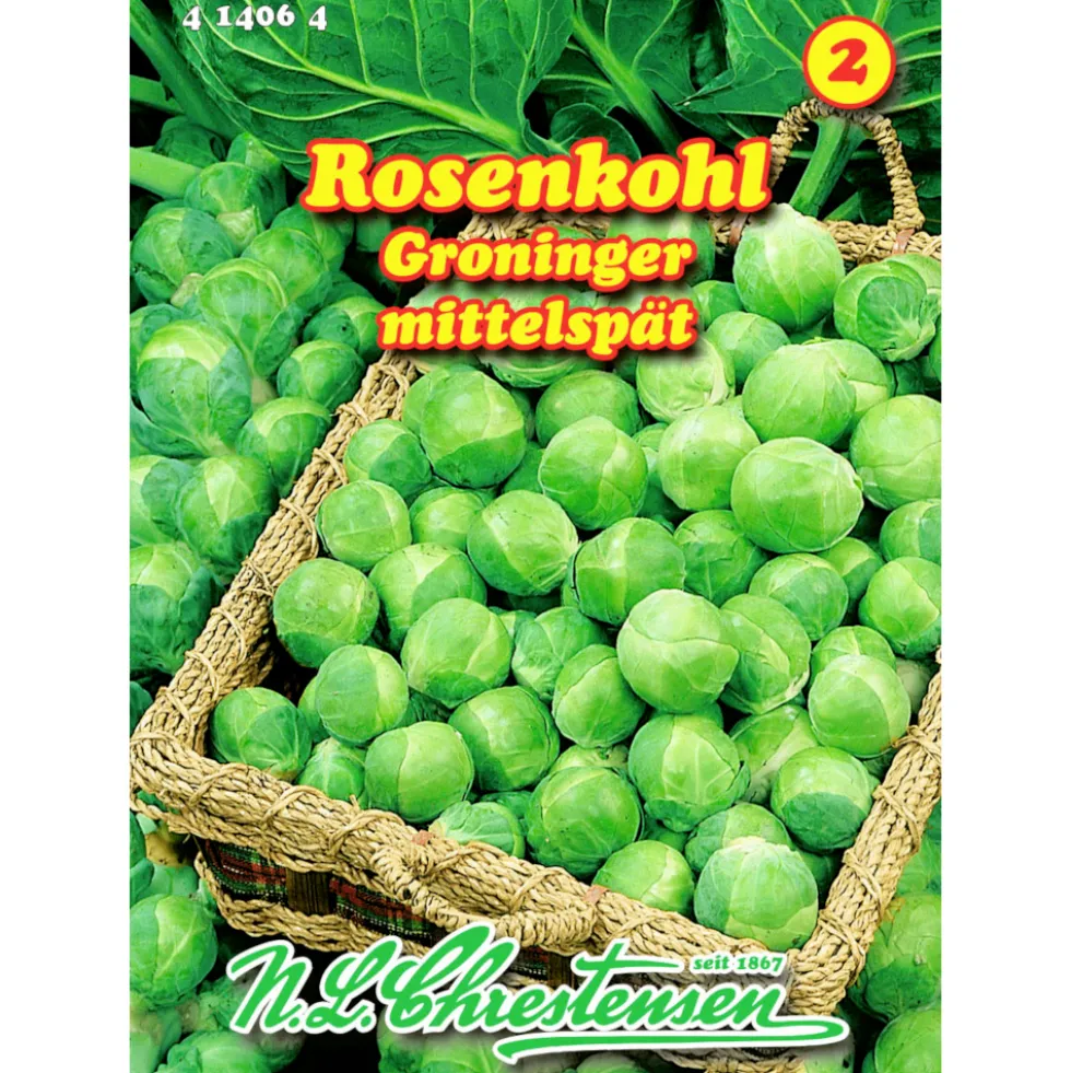 Saatgut Rosenkohl Groninger ca. 120 Pflanzen