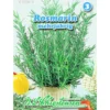 Saatgut Rosmarin ca. 50 Pflanzen