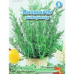 Saatgut Rosmarin ca. 50 Pflanzen