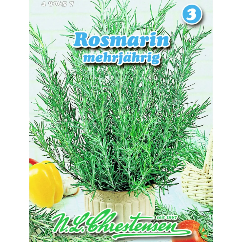 Saatgut Rosmarin ca. 50 Pflanzen