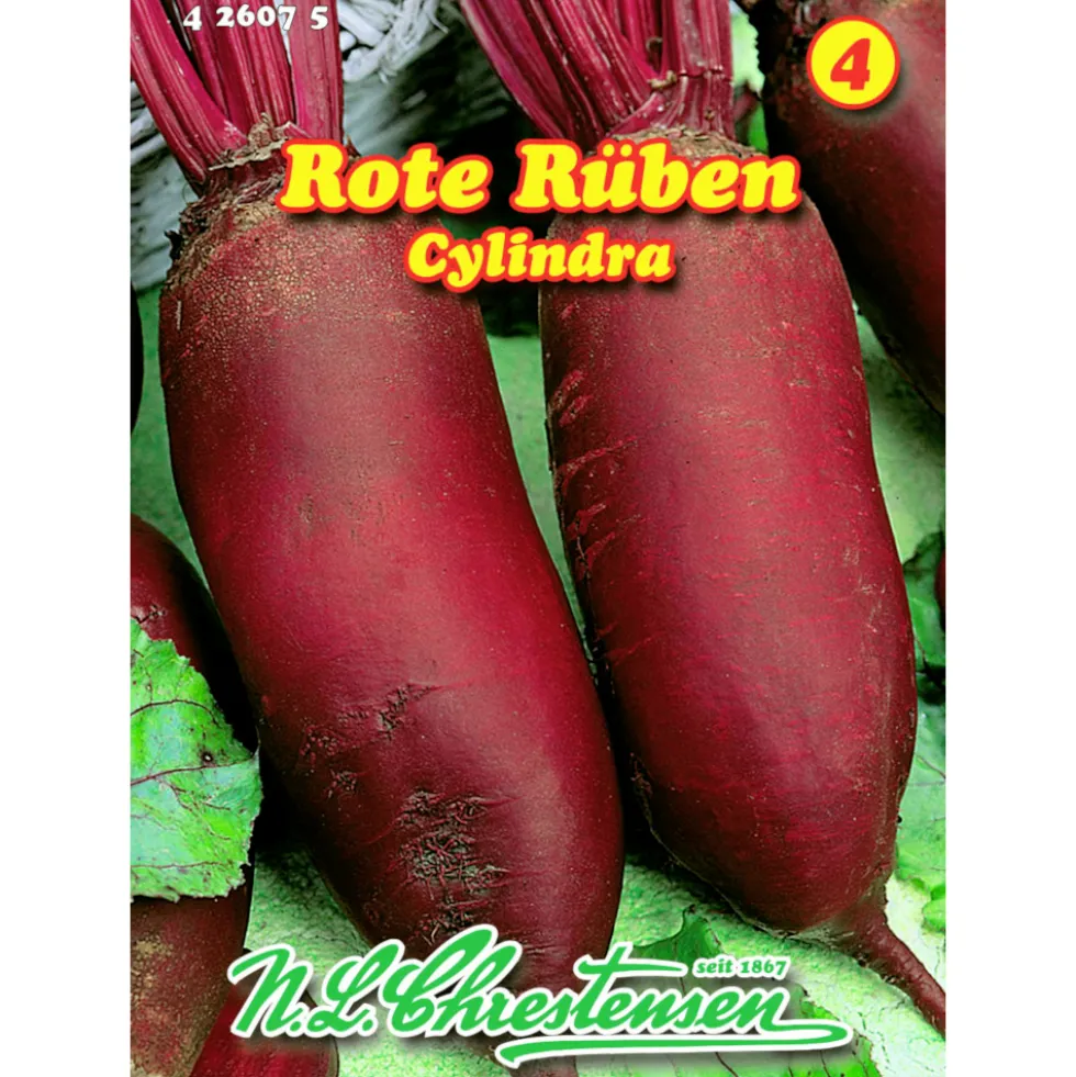 Saatgut Rote Rübe Cylindra ca. 120 Pflanzen