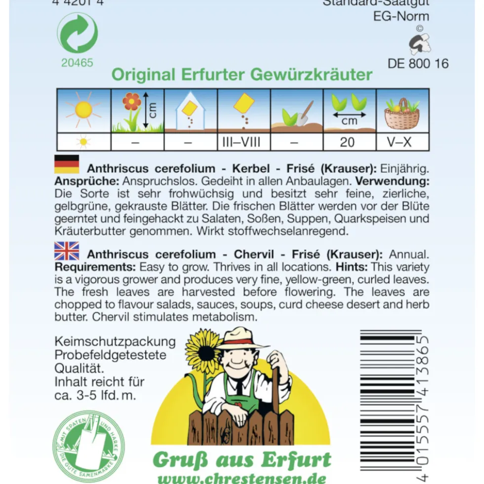 Saatgut Rote Rübe Cylindra ca. 120 Pflanzen