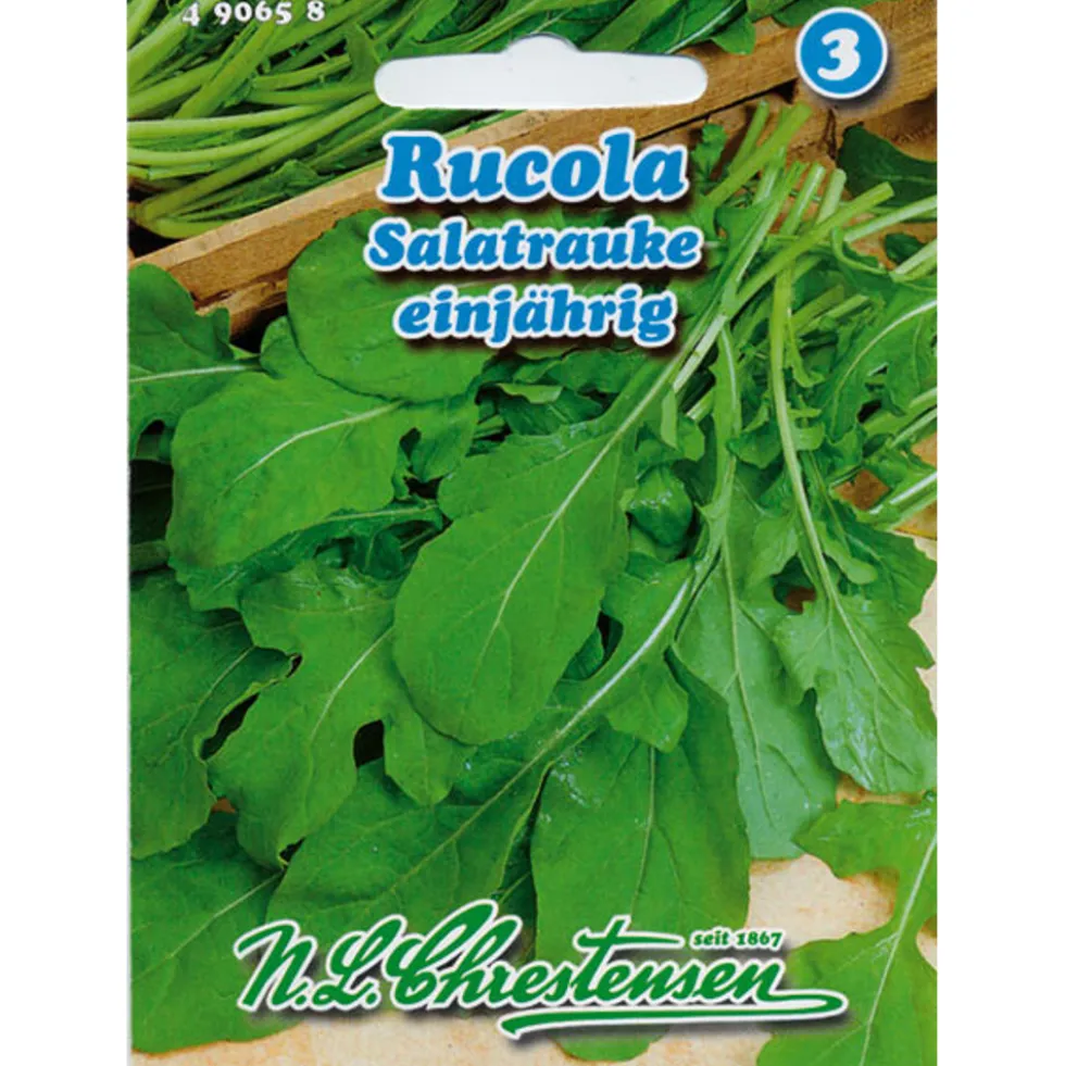 Saatgut Rucola ca. 350 Pflanzen