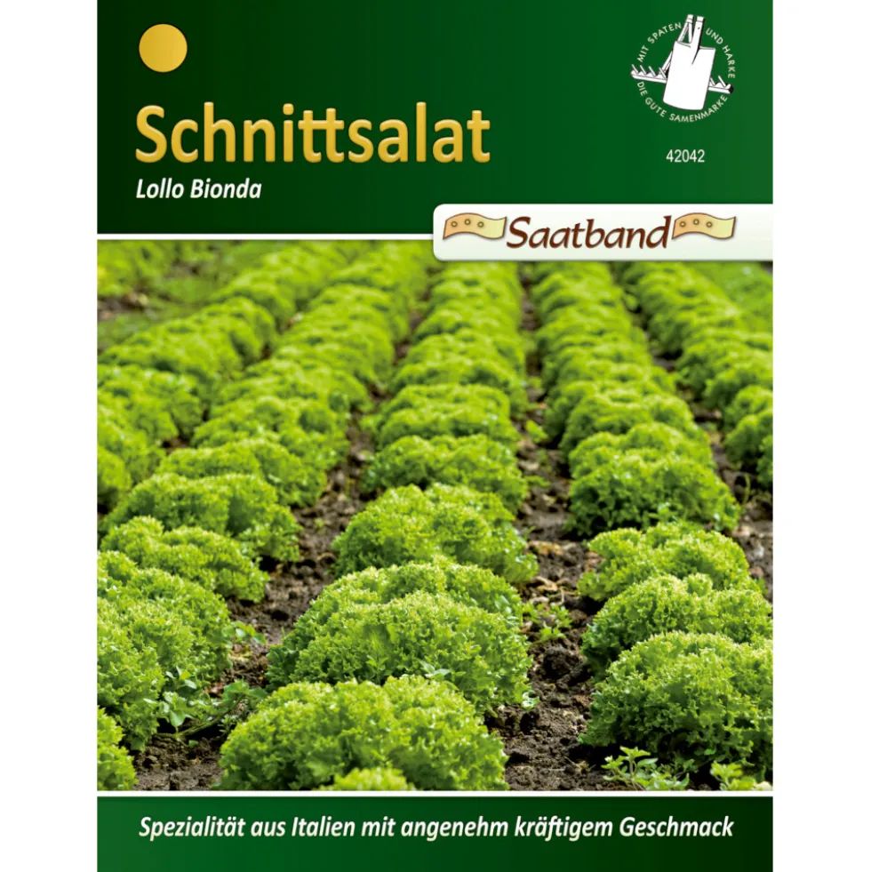 Saatgut Salat Lollo Blonda ca. 2 Meter Saatband