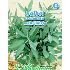 Saatgut Salbei ca. 70 Pflanzen