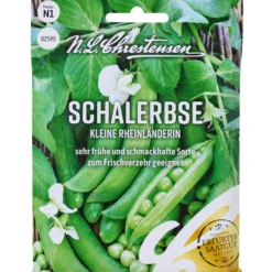 Saatgut Schalerbse Kleine Rheinländerin
