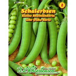Saatgut Schalerbsen ca. 12 laufende Meter