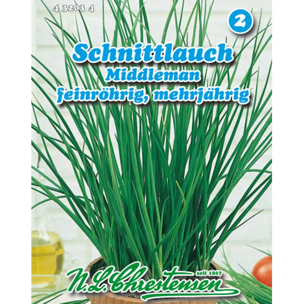 Saatgut Schnittlauch Middleman ca. 100 Pflanzen