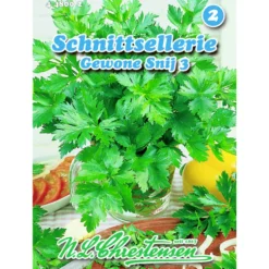 Saatgut Schnittsellerie ca. 400 Pflanzen