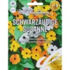 Saatgut Schwarzäugige Susanne Blackeye Mix