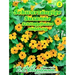 Saatgut Schwarzäugige Susanne ca. 12-15 lfd. Meter