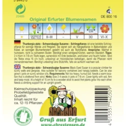 Saatgut Schwarzäugige Susanne ca. 12-15 lfd. Meter