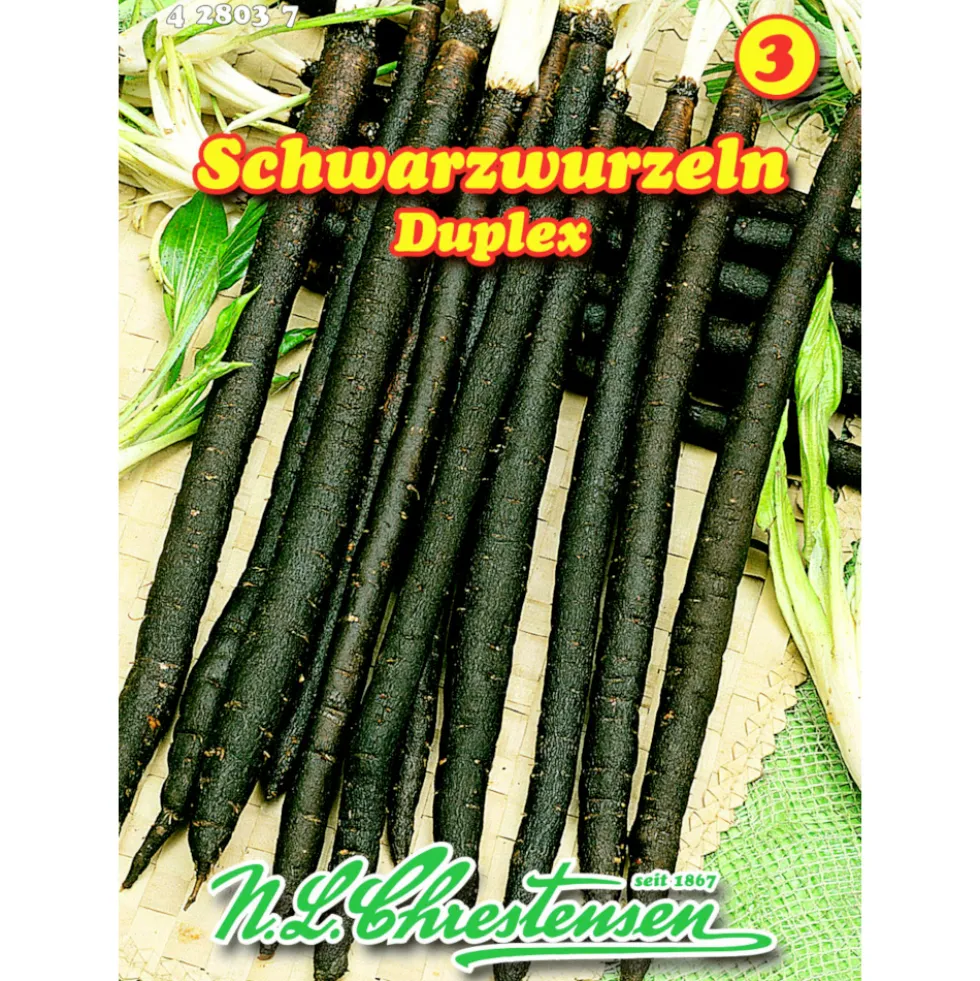 Saatgut Schwarzwurzel ca. 5–6 laufende Meter