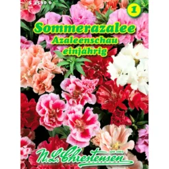 Saatgut Sommerazalee Mix gefüllt ca. 150 Pflanzen